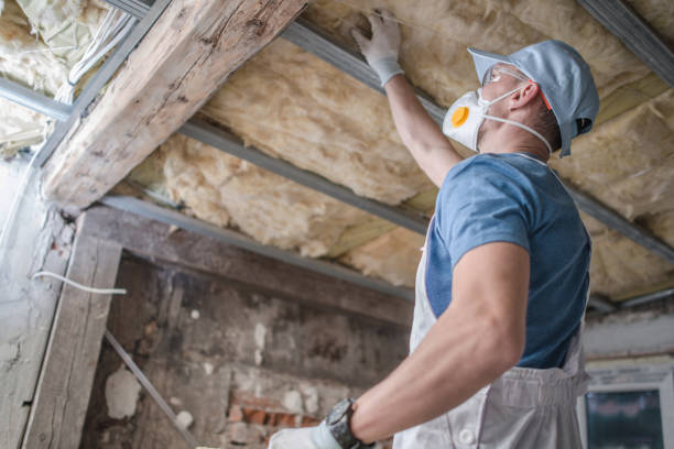 Best Spray Foam Insulation in Hartselle, AL